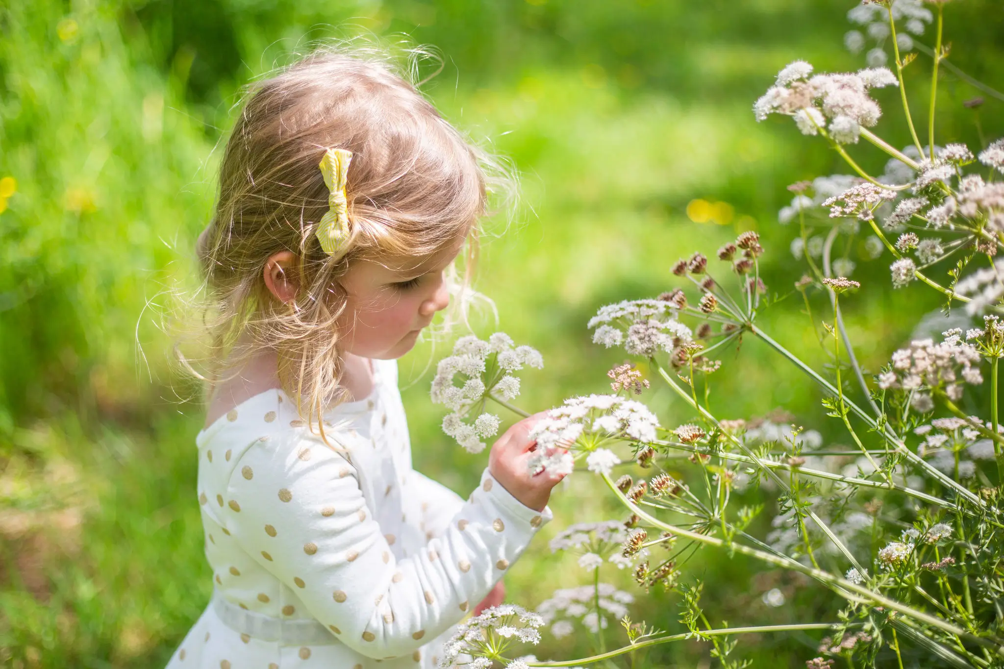 Photo jolie petite fille qui sent les fleurs par Julie Kirtz Photographe